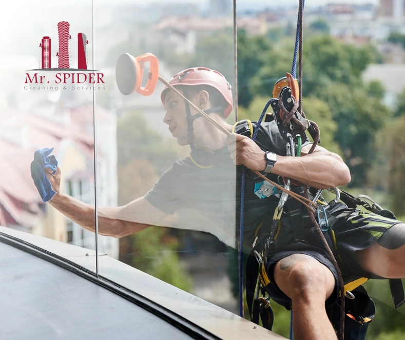 Mr. Spider Cleaning & Services